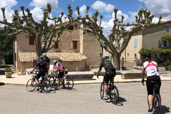 BiekCycling_Ventoux_platanen_32